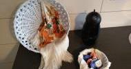 IMG_20170501_183303